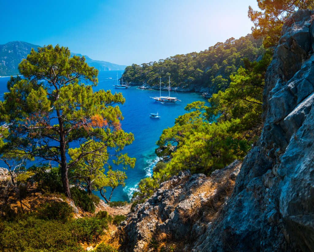 Aegean,Sea,Coast,With,Lush,Pine,Trees,And,Calm,Lagoons